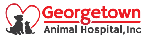 Georgetown Animal Hospital