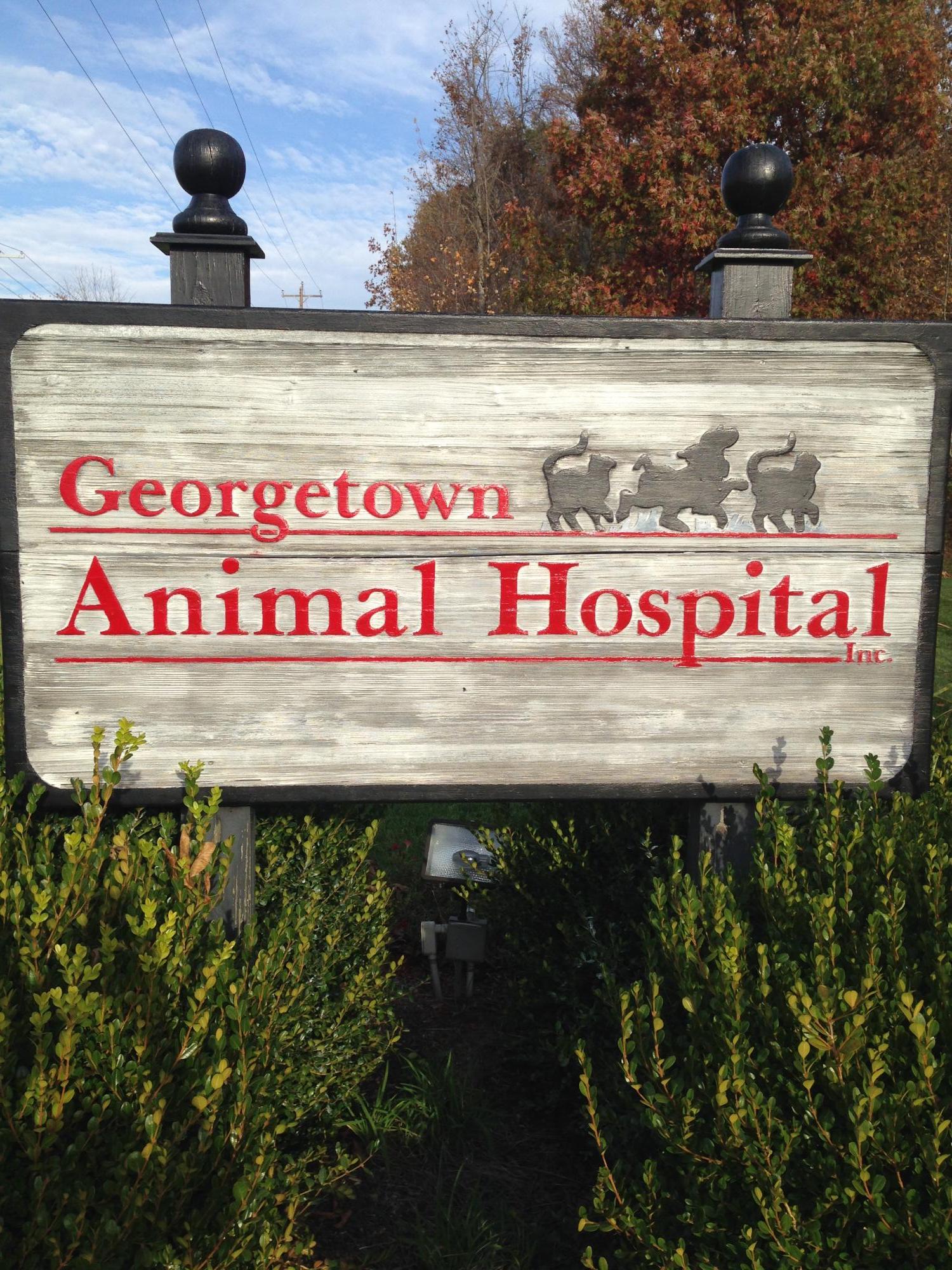 Veterinarian in Georgetown, OH | Georgetown Animal Hospital